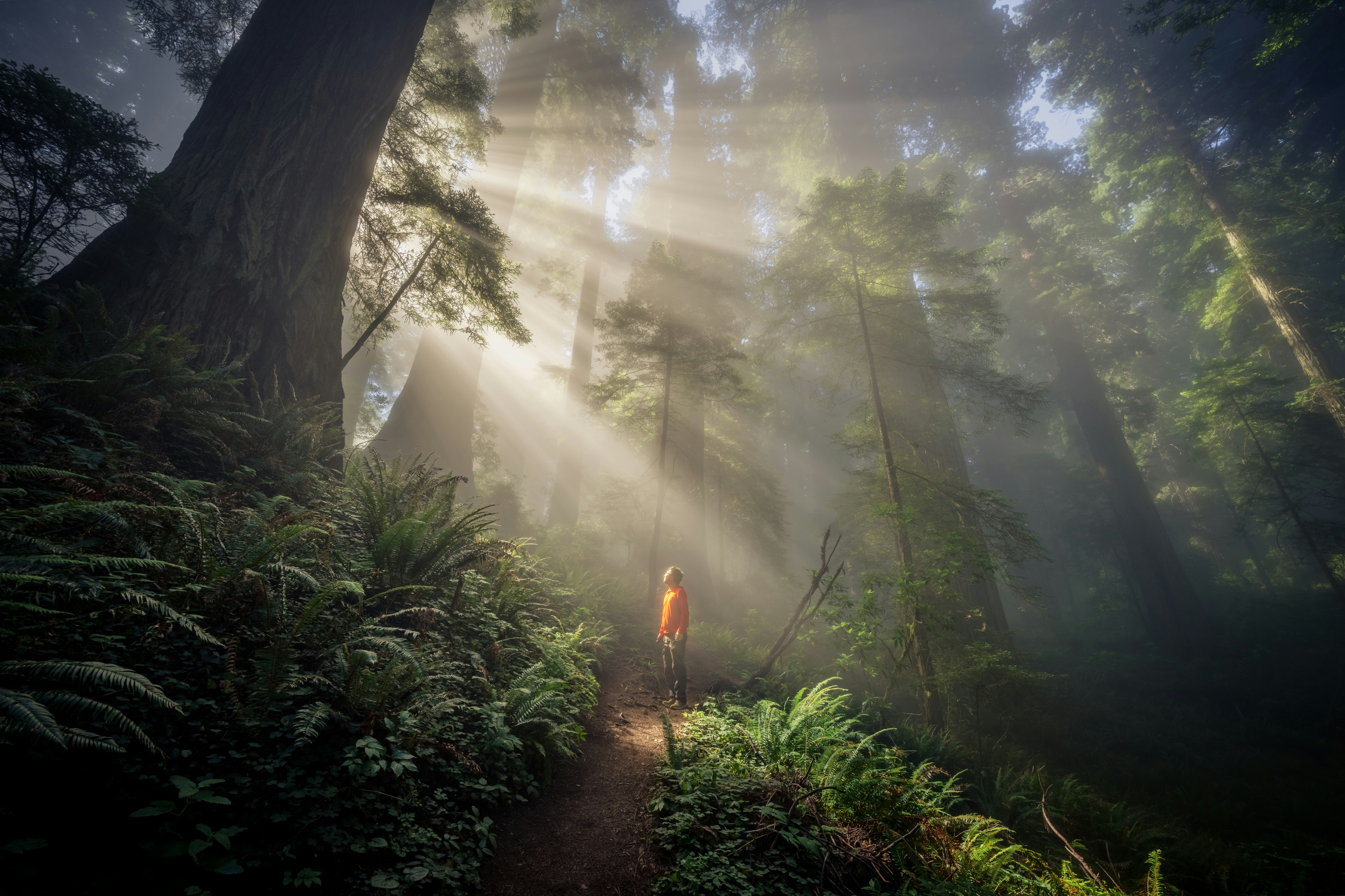 Featured image for “Agape Circle”