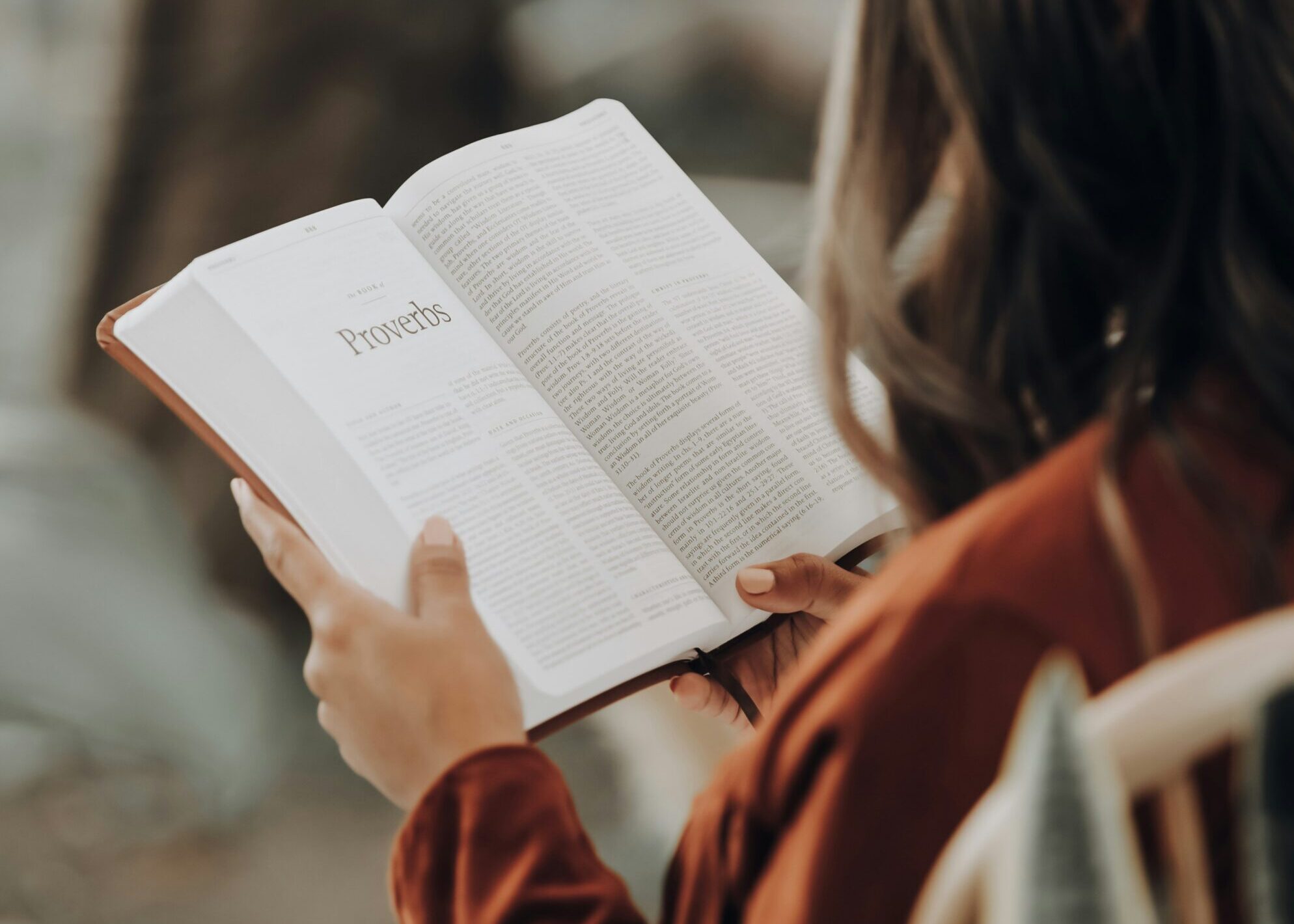 Featured image for “Wednesday Afternoon WOW”